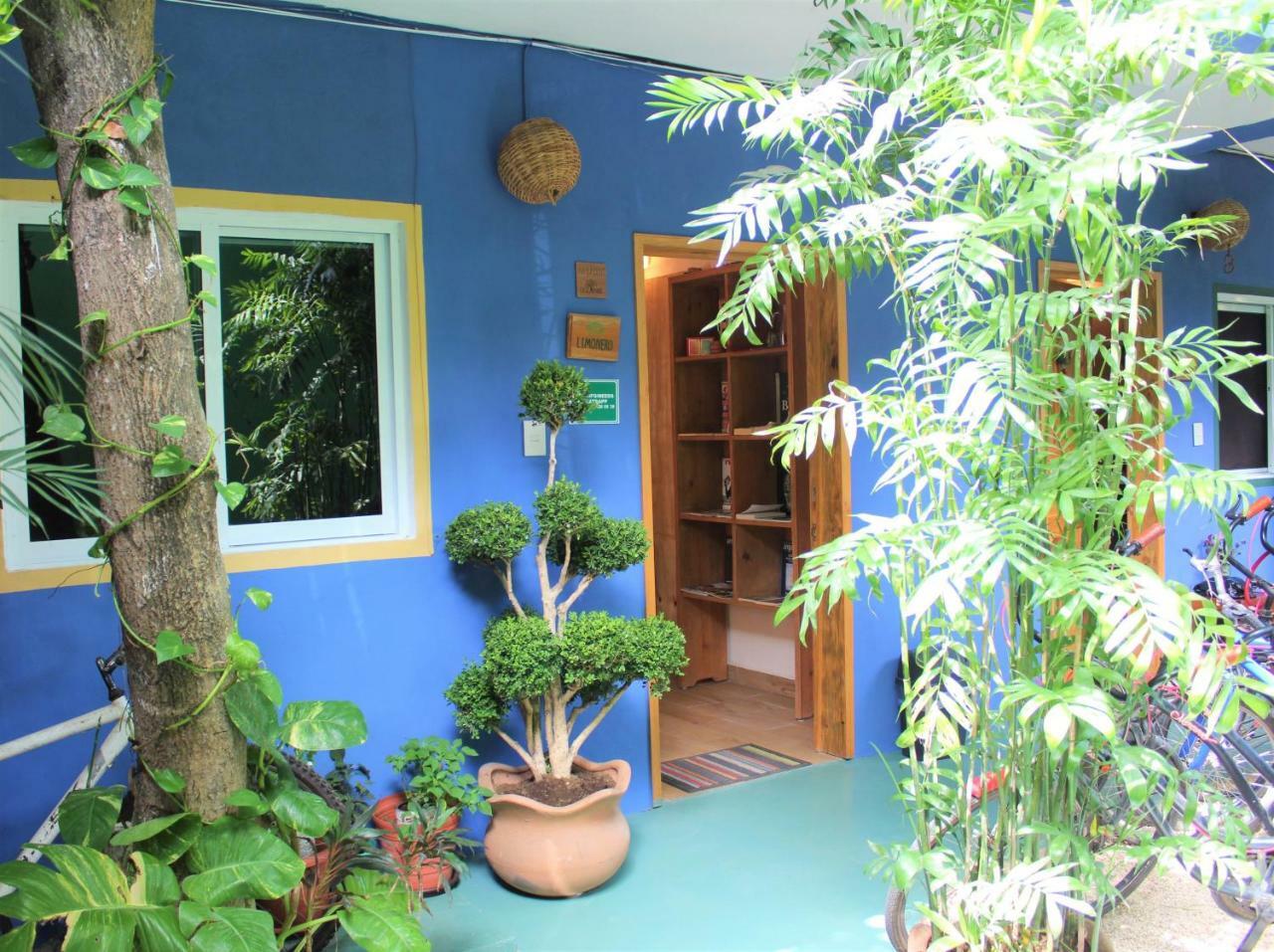 Hotel Casa Almendro Tulum Esterno foto